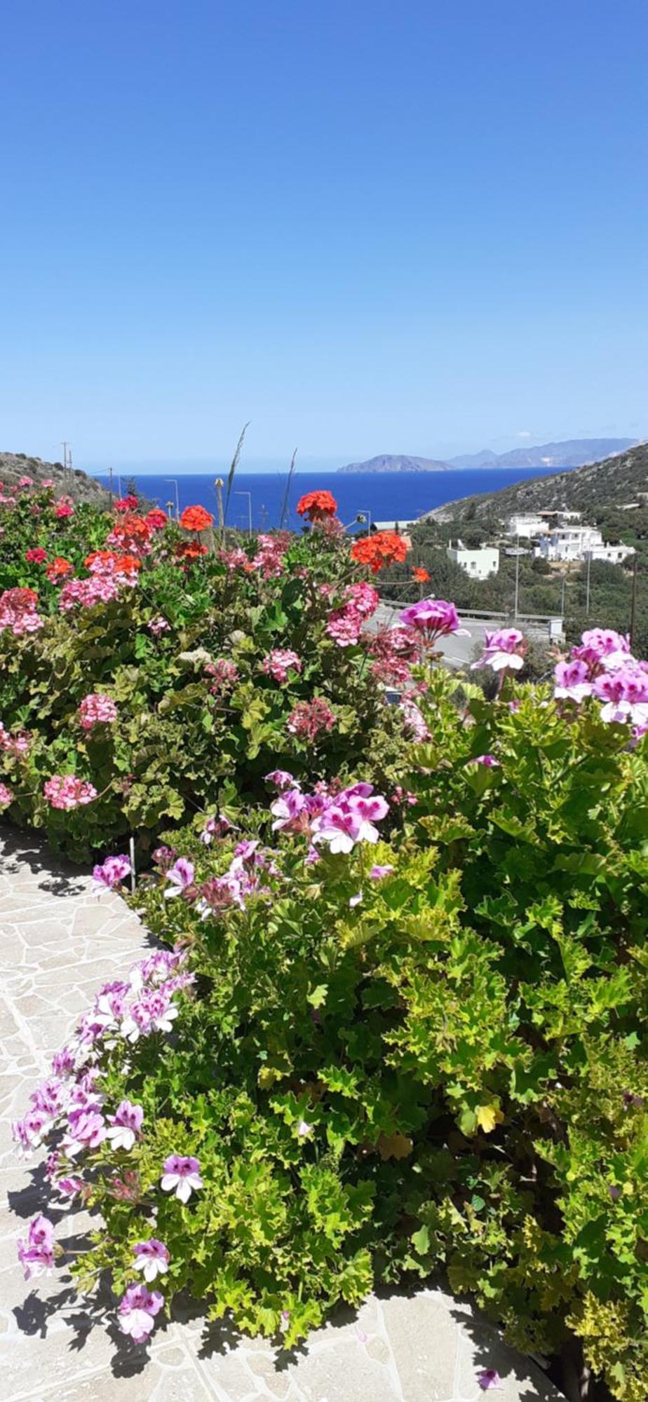 Hari Apartments Vathi, Agios Nikolaos Crete Esterno foto