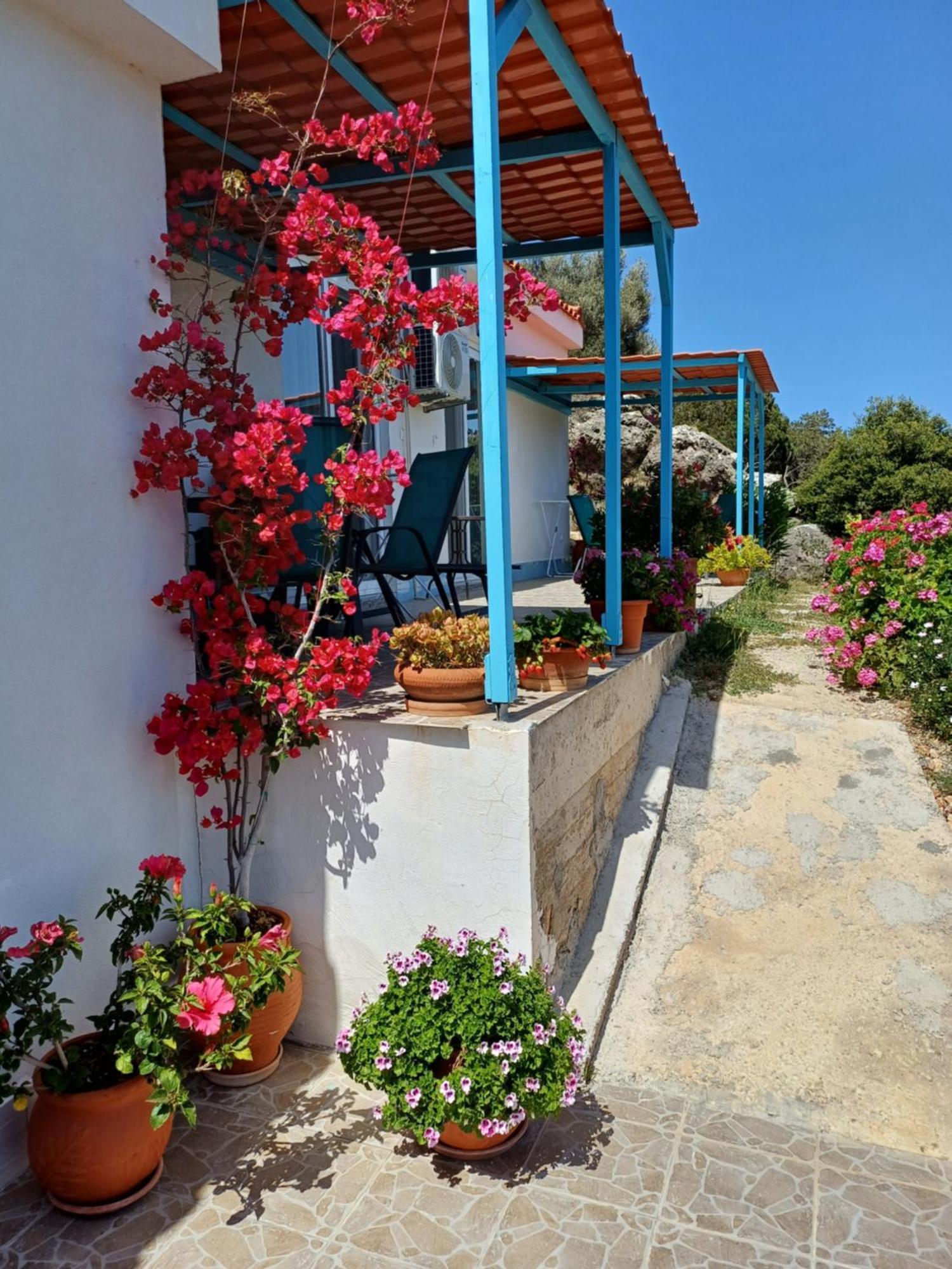 Hari Apartments Vathi, Agios Nikolaos Crete Esterno foto